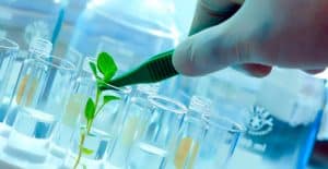 Saiba o que é biotecnologia e como ela pode beneficiar nossas vidas