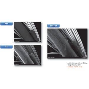 BSE - SE - MIX (images)