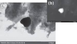 STEM example - abrasive