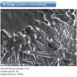 SE (UVD) image observation