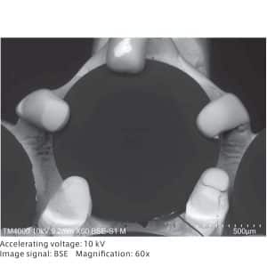 BSE image observation