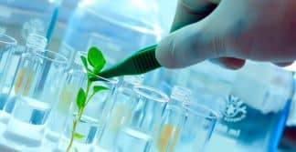 Saiba o que é biotecnologia e como ela pode beneficiar nossas vidas