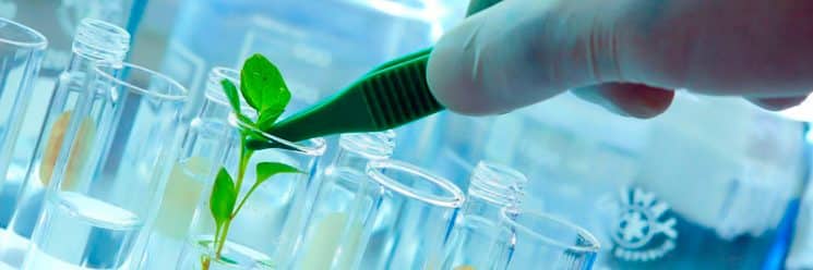 Saiba o que é biotecnologia e como ela pode beneficiar nossas vidas