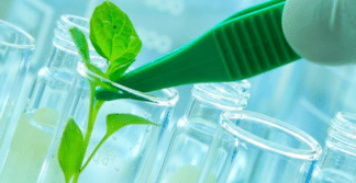 Foto de Mas afinal, o que é biotecnologia?
